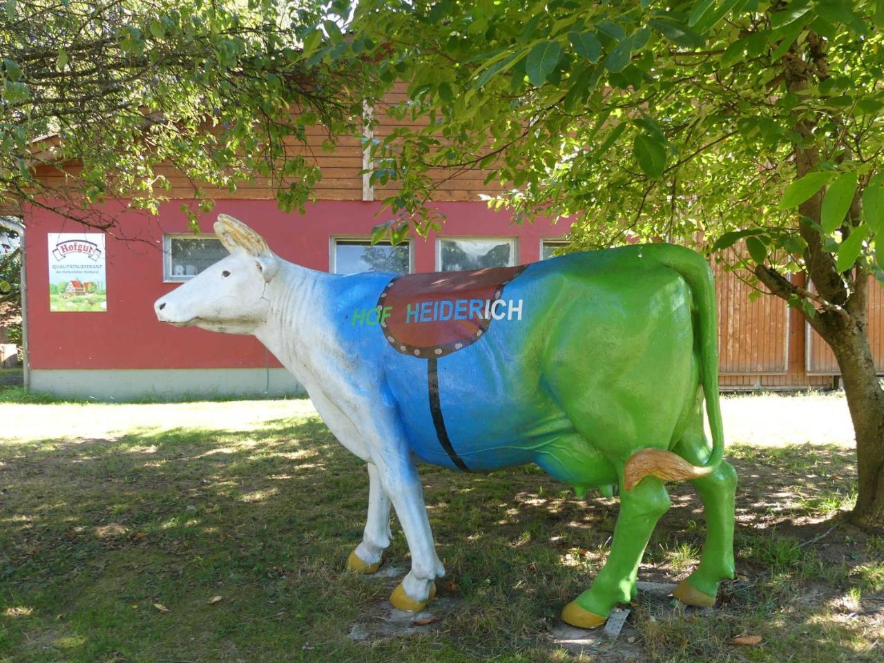 Ferienwohnungen Hof Heiderich Oberzent Luaran gambar