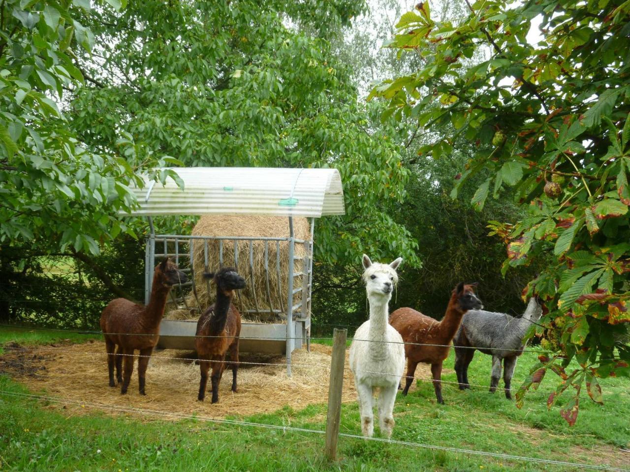 Ferienwohnungen Hof Heiderich Oberzent Luaran gambar